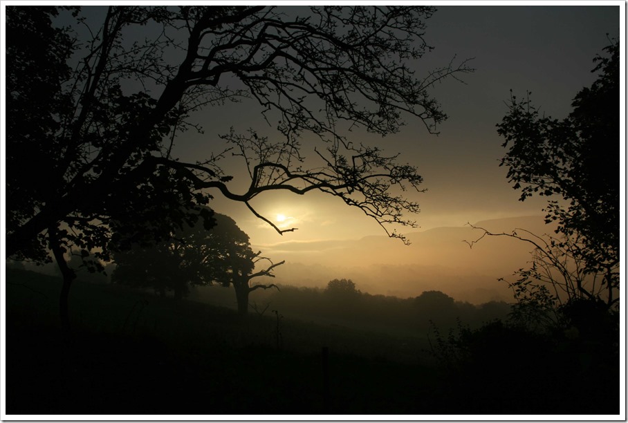 sunrise mist_