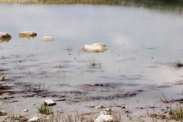 The Burren ponds.jpg