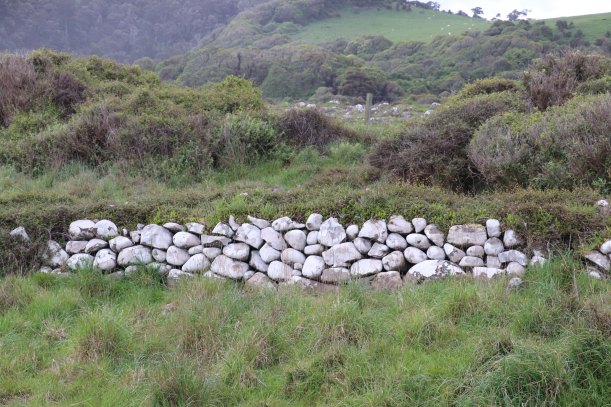 NZ DOC drystone wall_