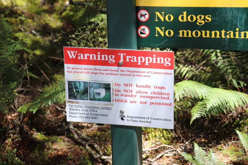 NZ no trapping_