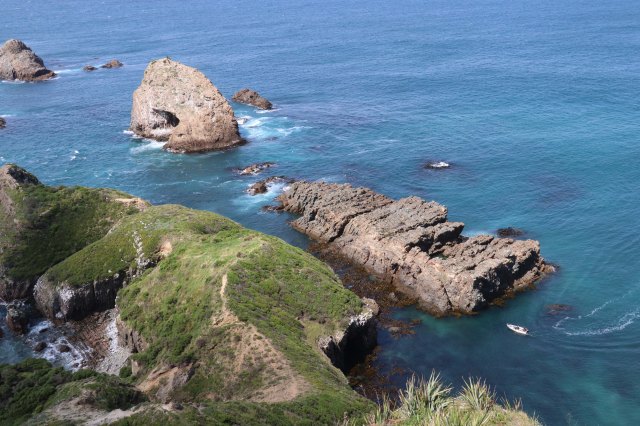 NZ Nugget point divers_